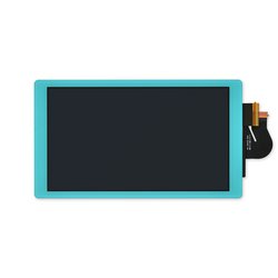 Nintendo Switch Lite Display